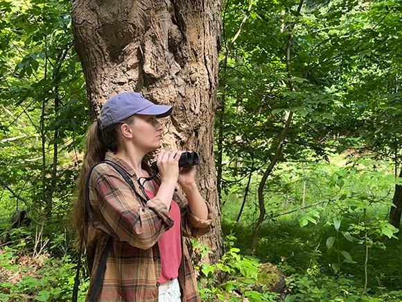 Researchers at Texas A&amp;M University are conducting wild turkey research, looking at the exposure of different turkey populations to neonicotinoid pesticides -  most commonly used insecticides in the world, with near ubiquitous application to crop seeds in North America.