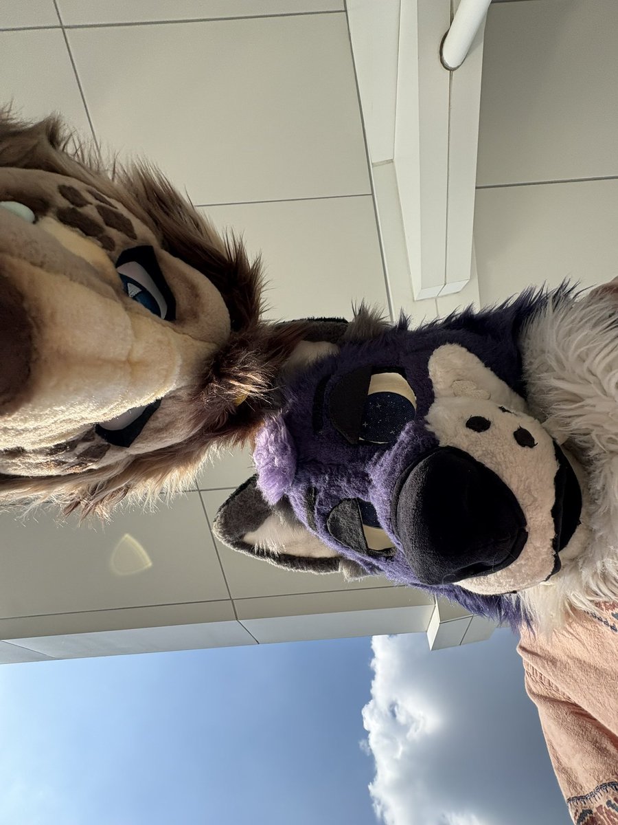 Silvia ➡️ IFC tweet media