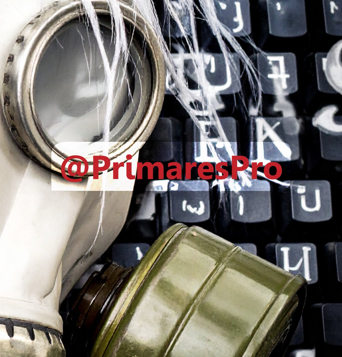 primares tweet media