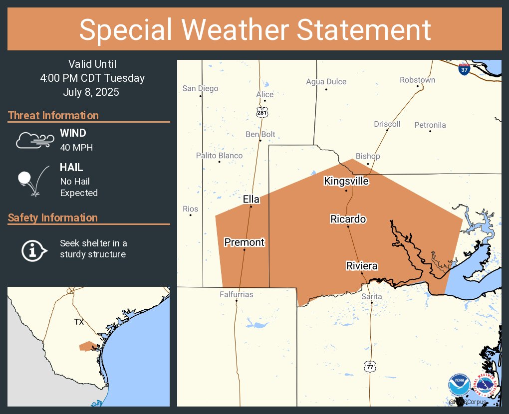 A special weather statement has been issued for Kingsville TX, Premont TX and  Ricardo TX until 4:00 PM CDT