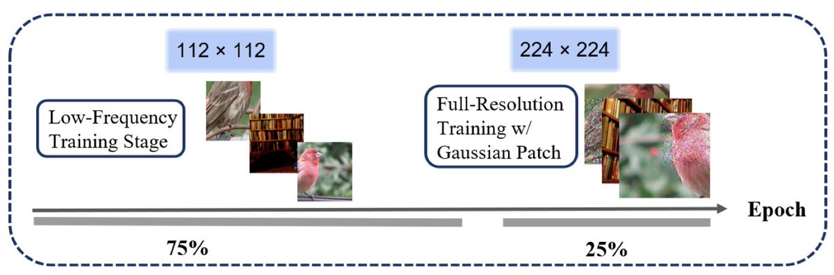 randall_balestr's tweet image. Impressed by DINOv2 perf. but don't want to spend too much $$$ on compute and wait for days to pretrain on your own data? Say no more! Data augmentation curriculum speeds up SSL pretraining (as it did for generative and supervised learning) -> FastDINOv2!
arxiv.org/abs/2507.03779