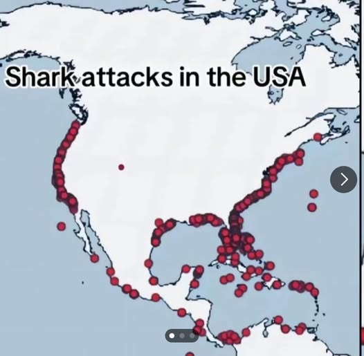 AttyTomGrieve's tweet image. Reason number 8,675,309 to carry: the odds of a shark attack are low... but apparently never zero #ccw #nfa #atf