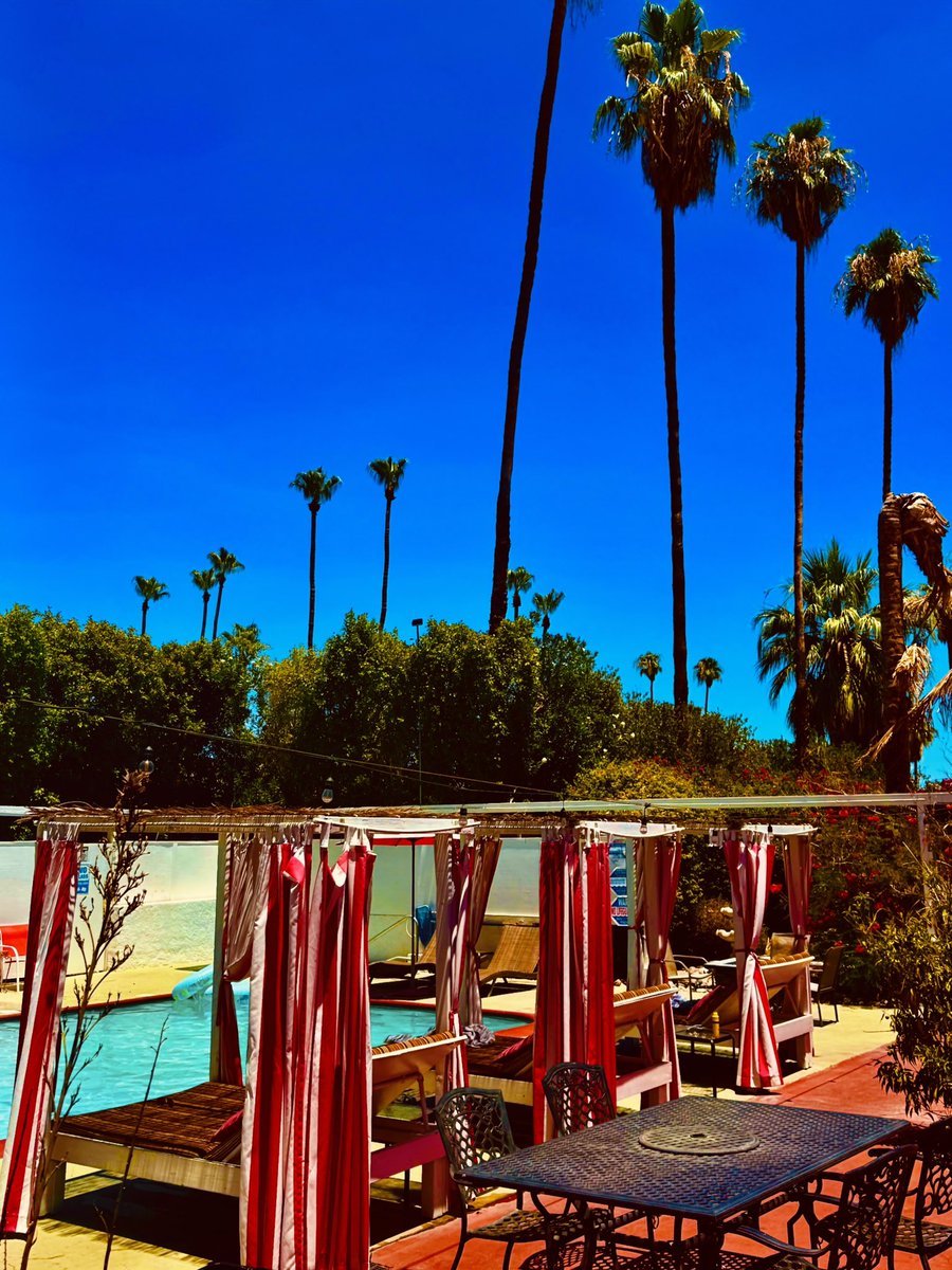 Mtrimble1's tweet photo. We had a little 4th of July getaway to Palm Springs. It was more like a comedy of errors, but a great time to spend together. @wondermann5 @PalmSpringsCA @GayTravel #bftime #travel #getaway #gaybears https://t.co/uxh8ES9mE1