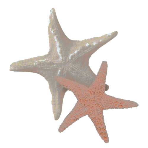 ofposuere's tweet image. ⠀ ⠀⠀⠀ ⠀
⠀⠀i want to brainwash you ╱ 𝖎𝖓𝖙𝖔 𝖑𝖔𝖛𝖎𝖓𝖌 𝖒𝖊 𝖋𝖔𝖗𝖊𝖛𝖊𝖗 .
 ⠀⠀