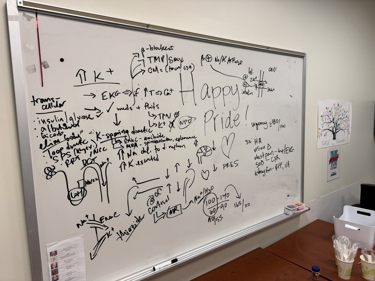 LurieNephrology (@lurie_neph) on Twitter photo We are so lucky to have <a href="/LuriePedsRes/">NULuriePedsResidents</a> residents rotate with us. Doing some chalk talk teaching on hypertension and electrolyte disorders 🫘🧂 (and left the pre existing Pride sign on the board 🏳️🌈 ☺️) We are so lucky to have <a href="/LuriePedsRes/">NULuriePedsResidents</a> residents rotate with us. Doing some chalk talk teaching on hypertension and electrolyte disorders 🫘🧂 (and left the pre existing Pride sign on the board 🏳️🌈 ☺️)