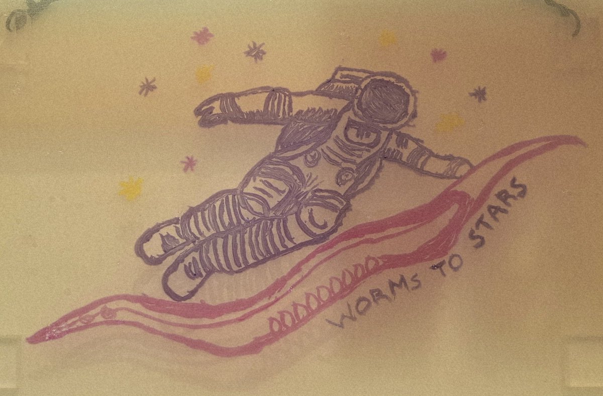 Had fun doing an #AgarArt session for a colleague's summer camp. Made a jumbo plate version of their camp logo. Turned out pretty well if I say so myself. Also made #Bactographs of their mission patches. I'll post their work after my conference. <a href="/MissouriSandT/">Missouri S&T</a> <a href="/ASMicrobiology/">ASM</a>