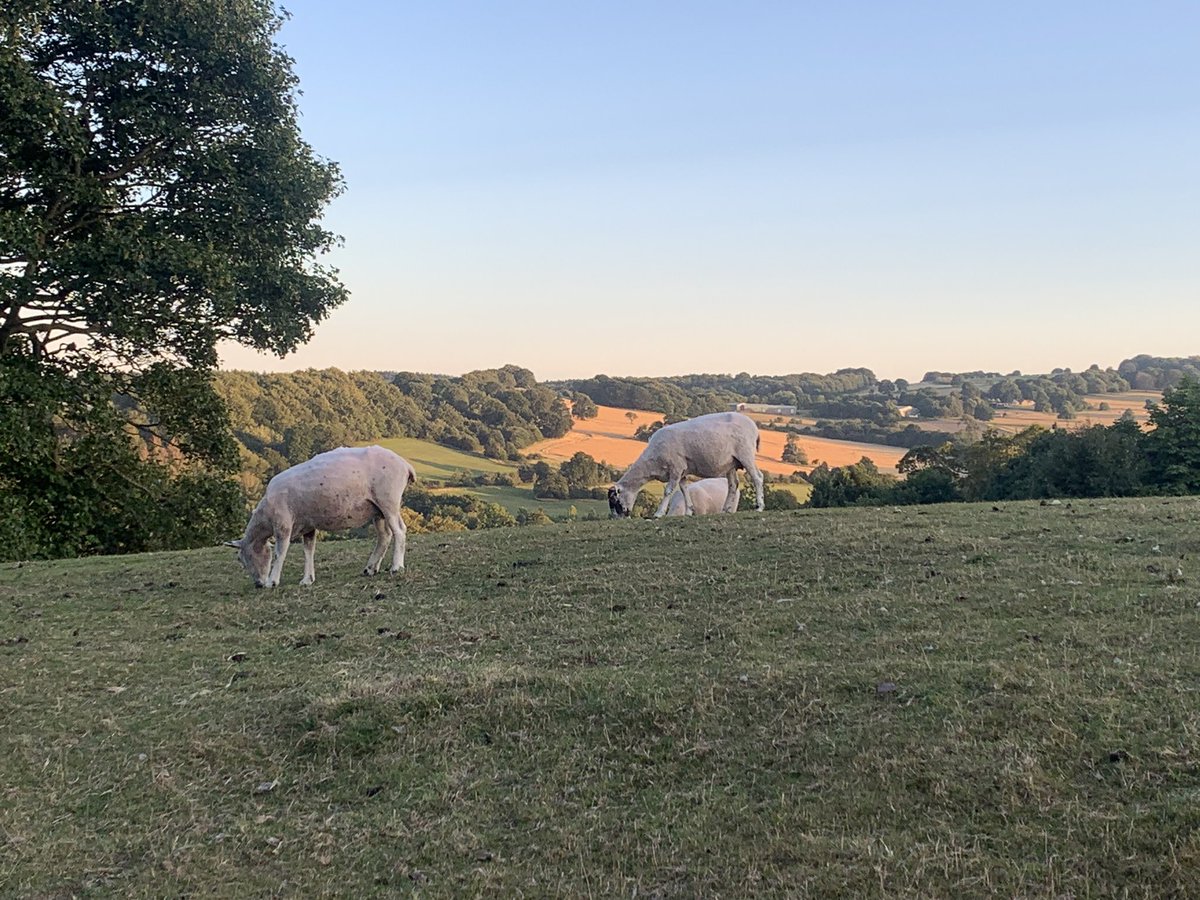 Delighted that <a href="/YSPsculpture/">Yorkshire Sculpture Park</a> host our Outwood Artist of the Year. We viewed the amazing artwork of our students from nursery to Y13, had a BBQ in the sunshine with our families &amp; celebrated the amazing student talent that exists in our family.