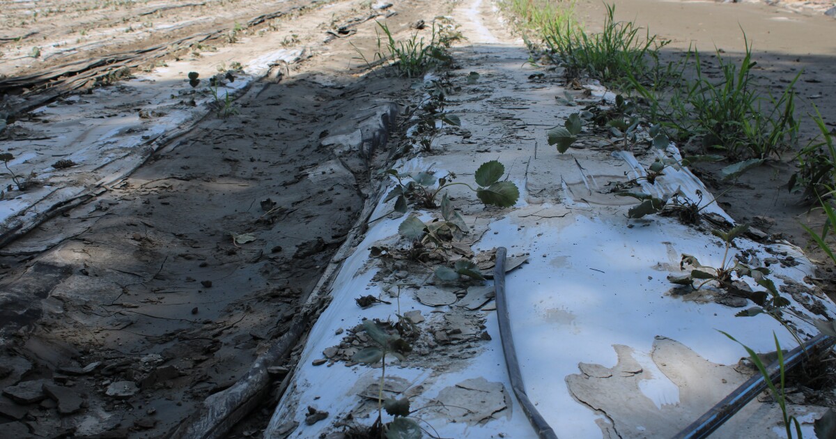 Vermont marks the anniversary of the 2023 and 2024 summer floods dlvr.it/TLpXMx