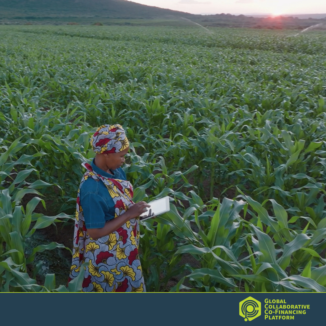 Today’s global challenges—from #EnergyAccess to #FoodInsecurity—demand coordinated, collective solutions. 

🤝#Cofinancing helps us go further, together. 

Discover the power of the Global Collaborative Co-Financing Platform: wrld.bg/XeBK50Wmvec