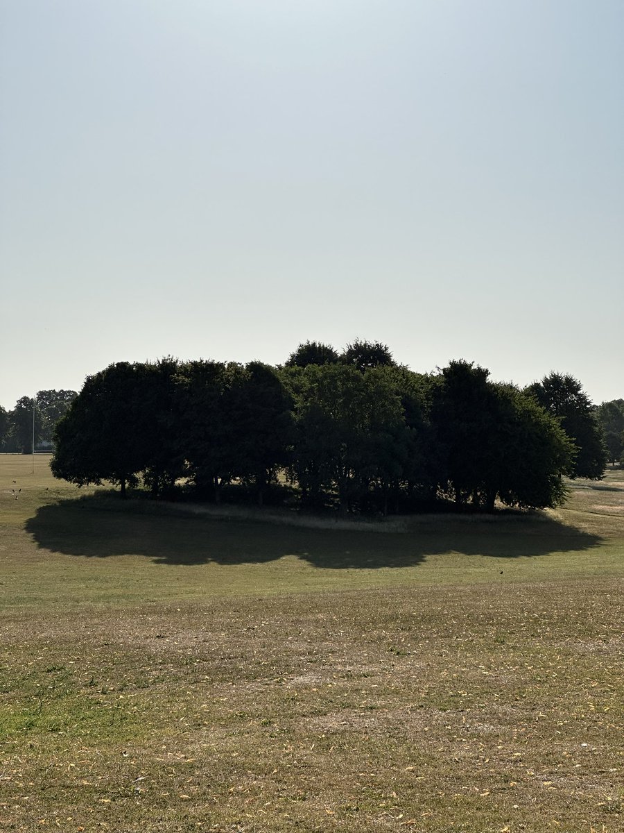 GongLin_edu's tweet image. Happy to join this year’s ECR retreat in Northampton — always a lovely chance to reunite with DEM COMM fellows and connect with new minds! @alzheimerssoc #ECRRetreat