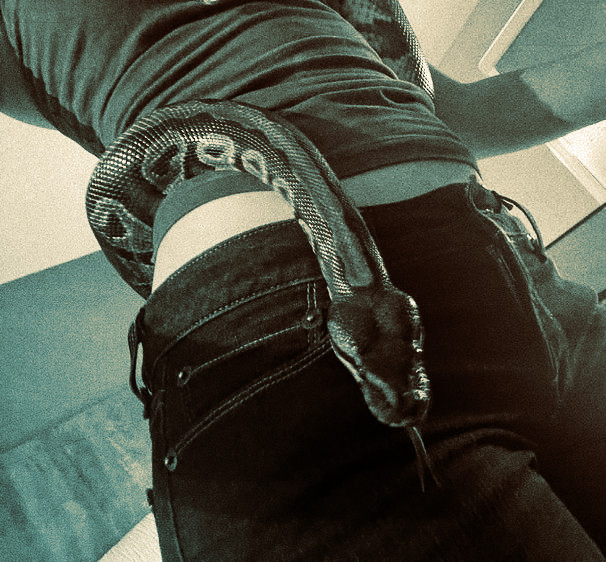 ㅤㅤㅤㅤ
ㅤㅤㅤㅤ