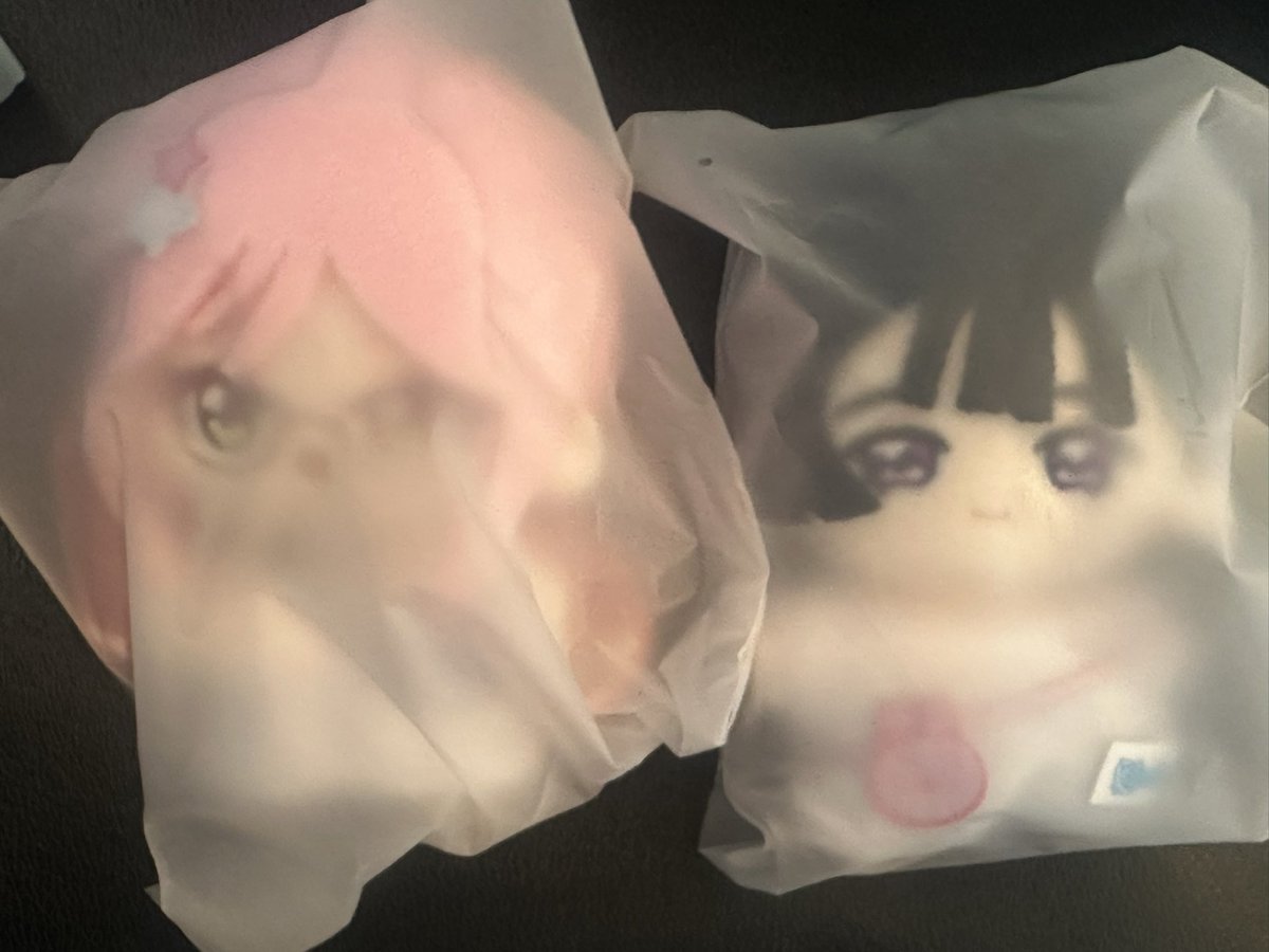the_bara_king's tweet photo. 🩵I got extra Suwa and Mizi in blind boxes at AX! 20$ each plush plus shipping. Buy them together and it’s only 35$💖#ALIENST #sua #SUAMIZI #mizi #mizisua #alienstage  #ALNST https://t.co/a8h83CjDR3