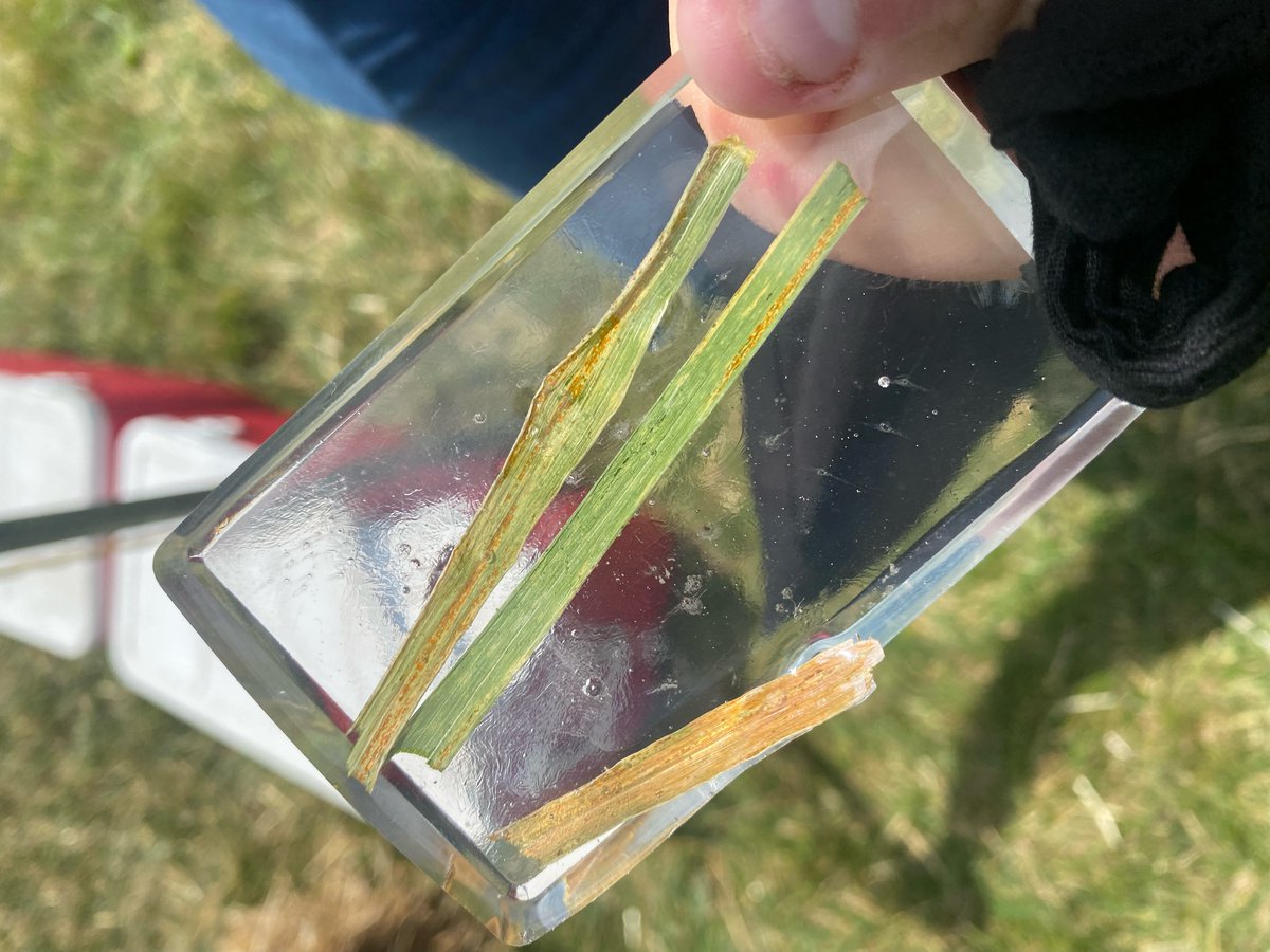 Lakeside Grain & Feed Limited tweet media