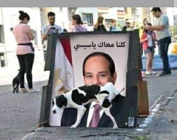 الكلب دة الكائن الوحيد ف مصر اللي عمل الصح