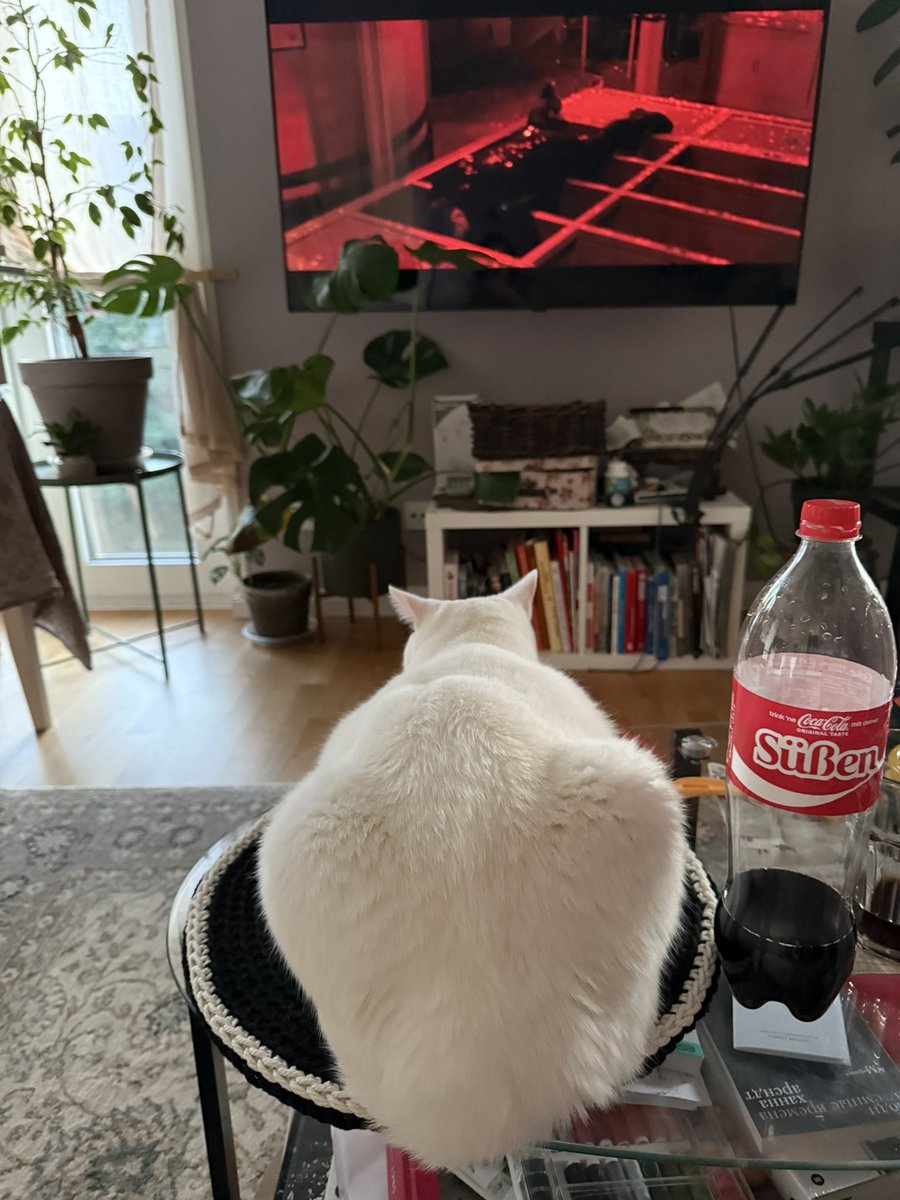 Фирочка я тебе салфетку под прибор связала, черную, чтобы лучше видно было волосы с твоей жопы