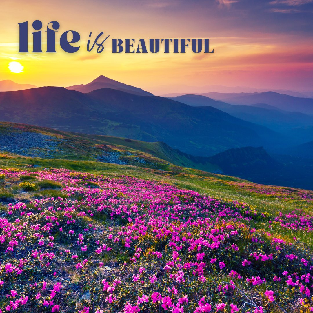 Everything depends on your attitude.

Want to be successful?  Live like you've achieved it.
Want to be joyful?  Act joyfully.
Want to have more friends?  Be friendly.

What one thing can you start changing now?

#Motivation #TuesdayFeeling