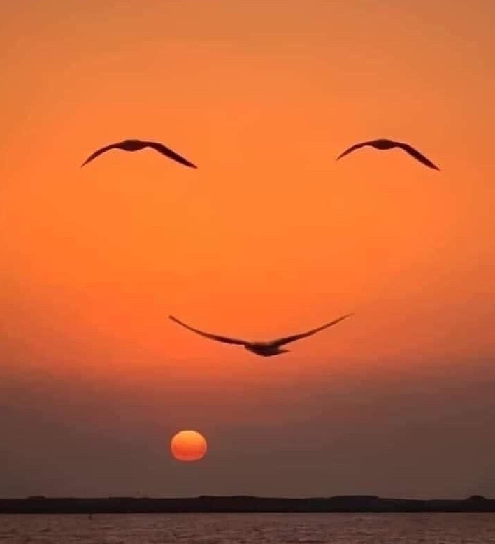 Solithra's tweet image. 