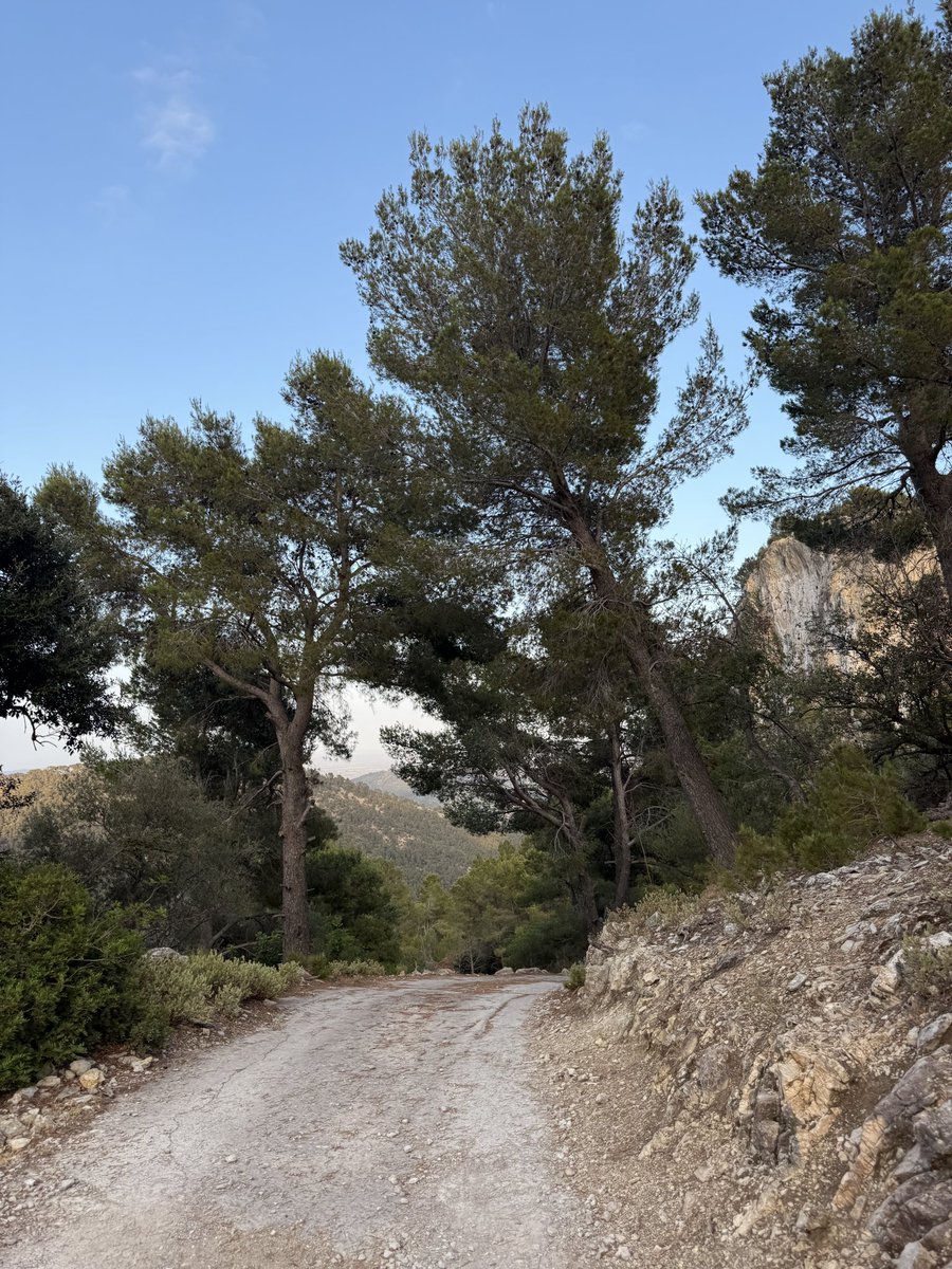 мені багато від життя не треба - дайте тільки полазити десь в гарних місцях і пива випити