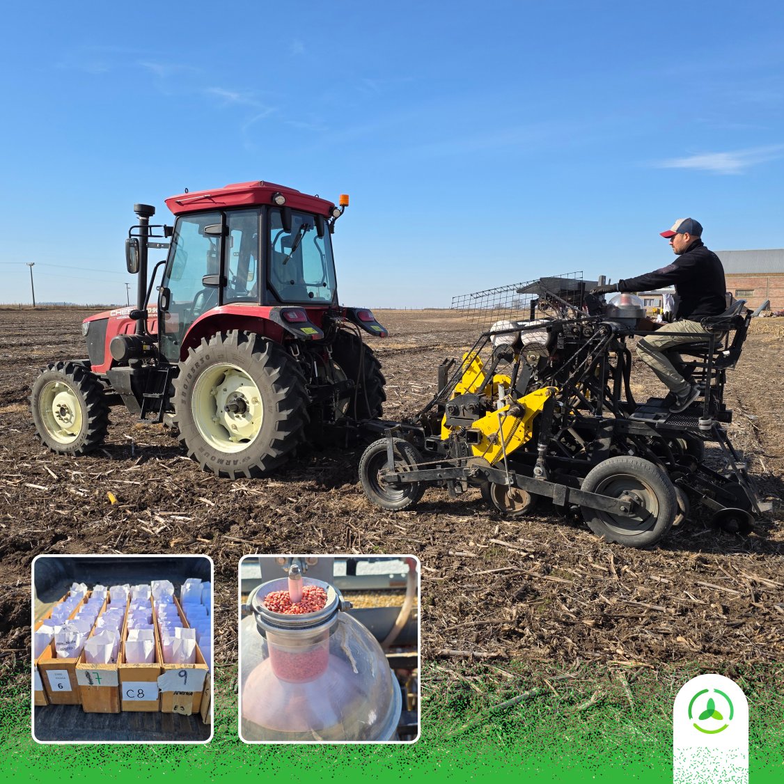 Sembrando nuevas respuestas en nuestro campo experimental en Diego de Alvear. 

🌾Ensayos de #trigo: comparativo de rendimientos.

#EnsayosAC #AgriculturaConTodo