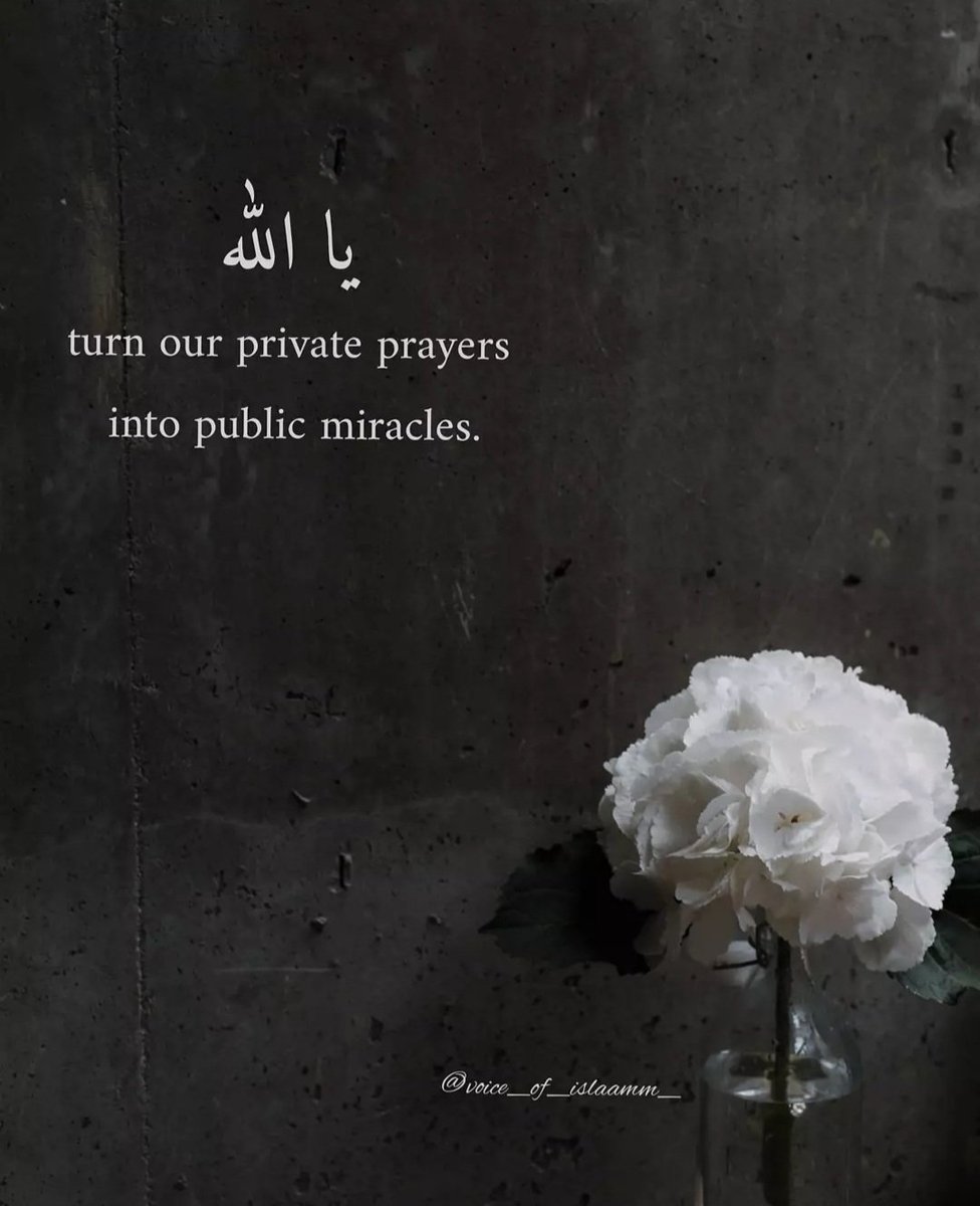 RoShZiMu's tweet photo. Ameen https://t.co/gmAgPvgZ0n