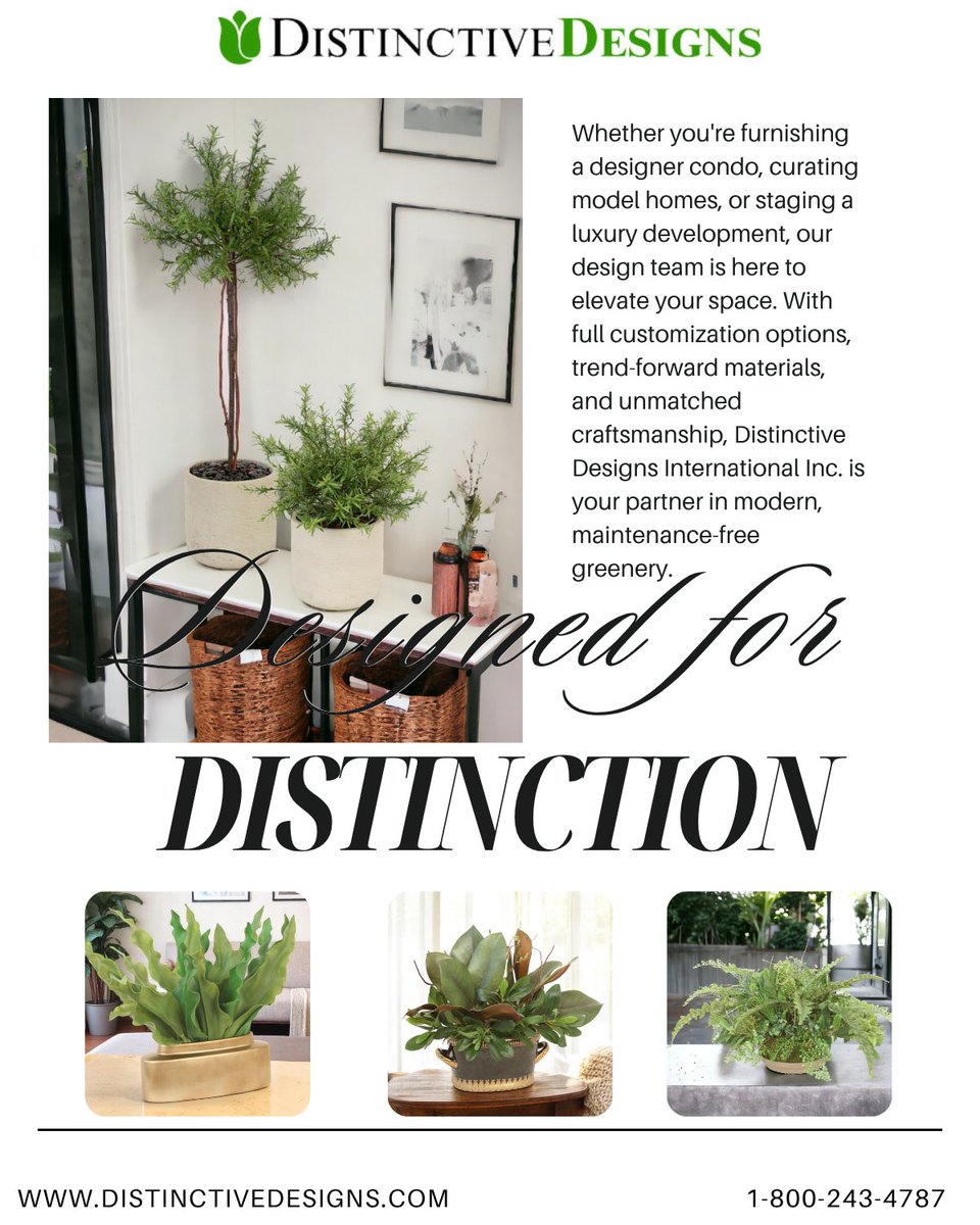 Distinctive Designs tweet media