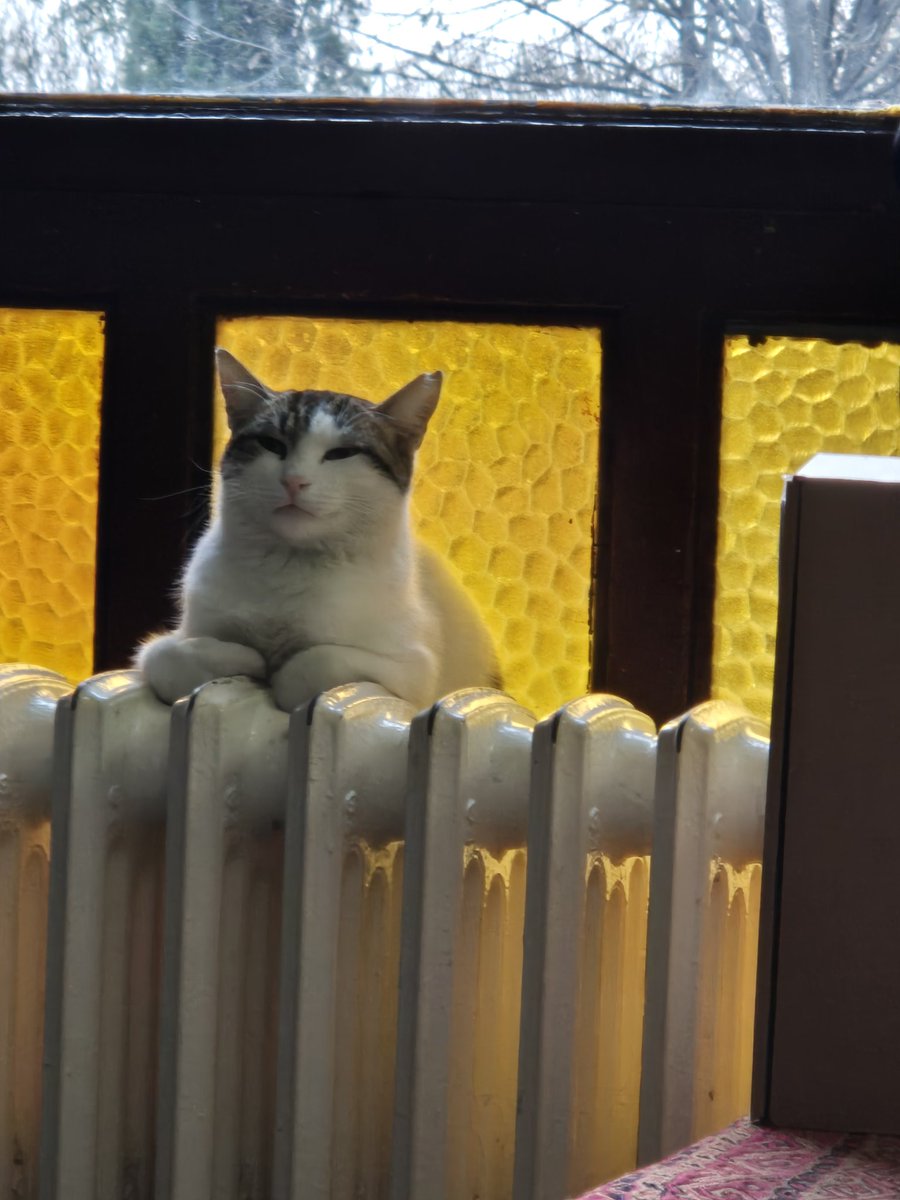 İstanbulun en iyi bergamotsuz çaycılarındandı. 
ağlıyorum