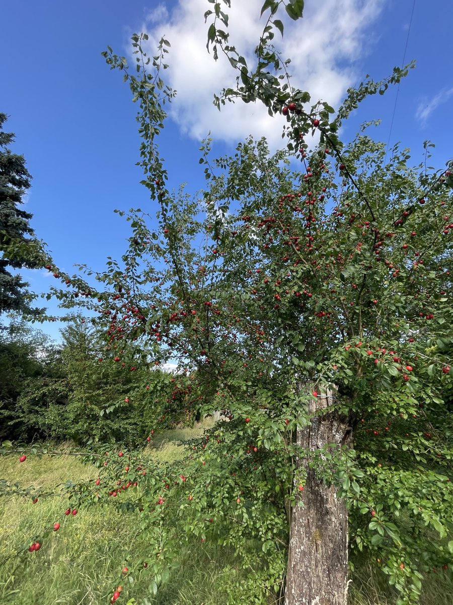 Jean-Luc (John) - F1ULQ-AK8DX tweet media