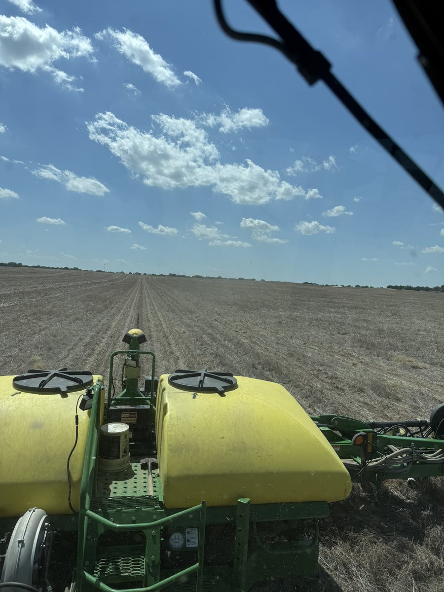 Too wet to be out here, but calendar says time is up. Time to wrap up plant 25 with some 3$ dryland milo