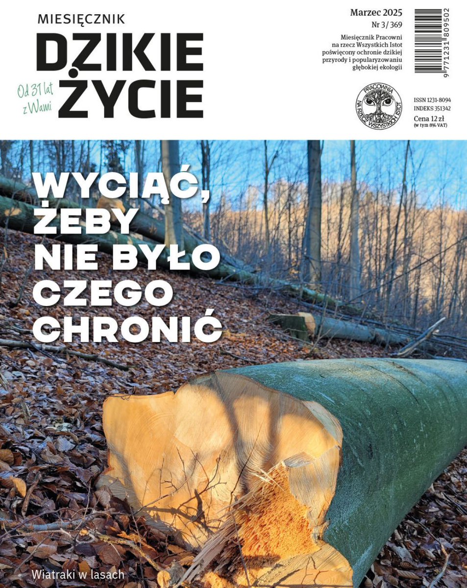 PracowniaBystra's tweet image. Wszystkie artykuły tego wydania miesięcznika @DzikieZycie zostały właśnie uwolnione🚀
Sprawdźcie, czego dowiecie się o ochronie górskich lasów i stawianiu wiatraków w lasach,
o Odrze, wilczymłyku, sroczym gnieździe.
Tutaj 🟩 dzikiezycie.pl/archiwum/2025/…