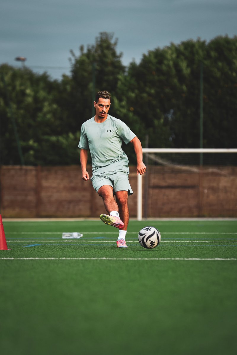 Travail dans l’ombre, retour en lumière. 🦁