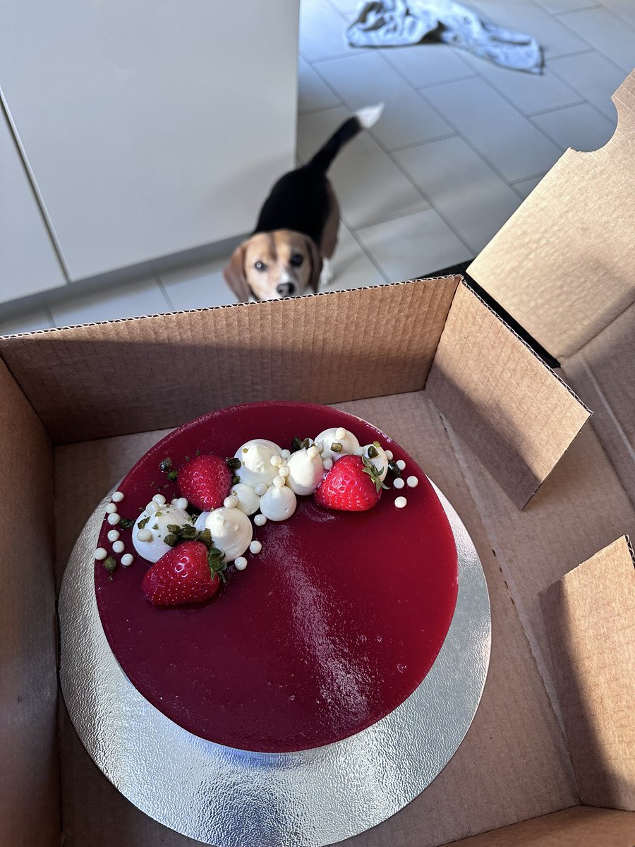 Weekend BBQ desserts sorted ? 
Buddy thinks so !
Lepatissier.ie/shop