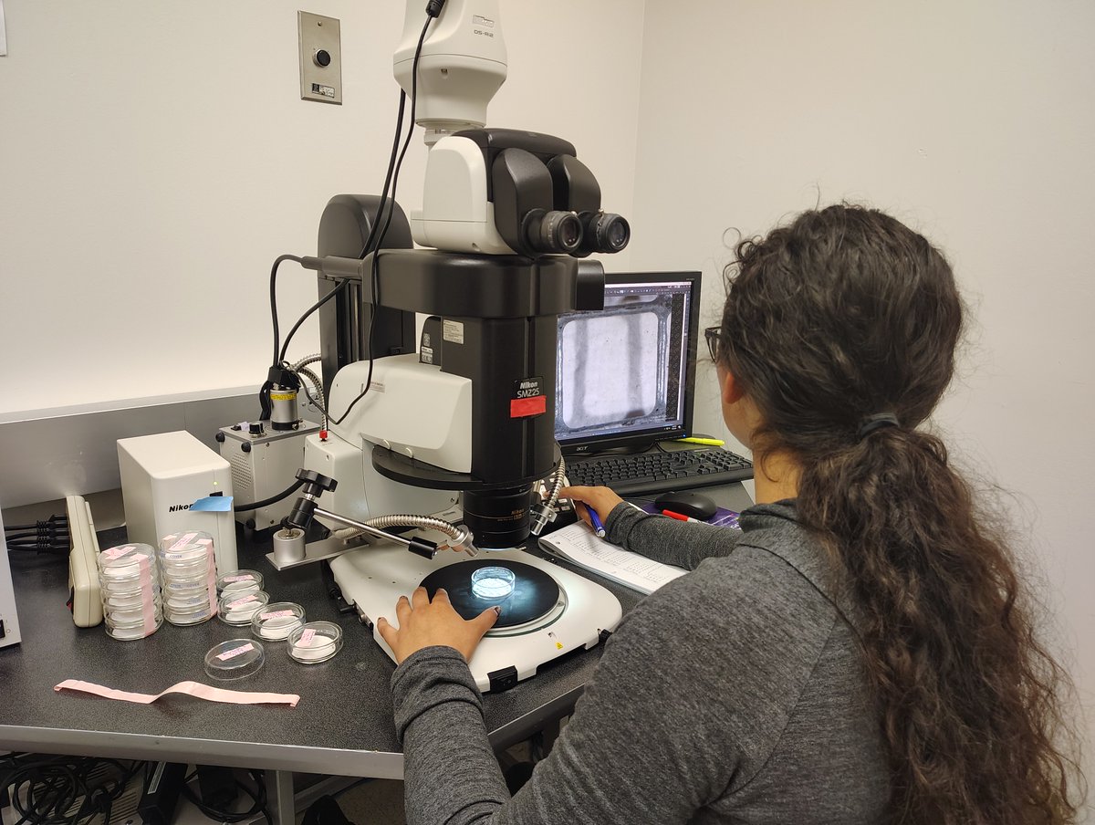 BiotechUNL's tweet image. It was buzzing in the Microscopy Core today!
🔬Morning: Users imaging biological samples
🔬Afternoon: engineers exploring identification of microplastics, time-course nanofluid flooding & 3D-printed structures.
Love seeing high schoolers to postdocs diving into science together.