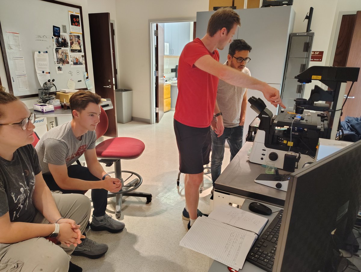 BiotechUNL's tweet image. It was buzzing in the Microscopy Core today!
🔬Morning: Users imaging biological samples
🔬Afternoon: engineers exploring identification of microplastics, time-course nanofluid flooding & 3D-printed structures.
Love seeing high schoolers to postdocs diving into science together.