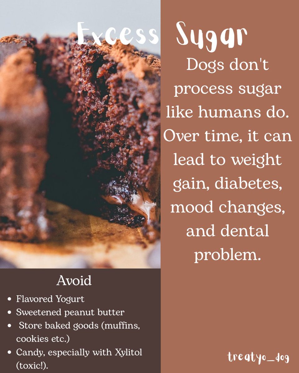 treatyo_dog's tweet photo. Treats feel like love! But what's on the label matters more than the trail wag.π
πΆ Dogs eat what we give-but their bodies & moods react to it all day.
β
Look for single-ingredient, high-protein, or veggie-based treats.
#dogfoodtips #nourishnatrually #doghealth #workingdogmom https://t.co/pslV28r5eV