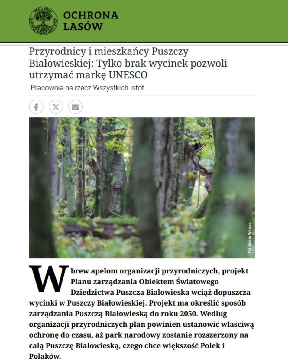 PracowniaBystra's tweet image. Tylko pełna ochrona uratuje Puszczę.
Zintegrowany Plan zarządzania Obiektem Światowego Dziedzictwa @UNESCO #PuszczaBiałowieska ma za zadanie naprawić szkody wyrządzone przez nielegalną wycinkę w 2017 r. i bezprawne zbudowanie muru na granicy z 🇧🇾 w 2021 r.
💬 „Traktuję ten plan…