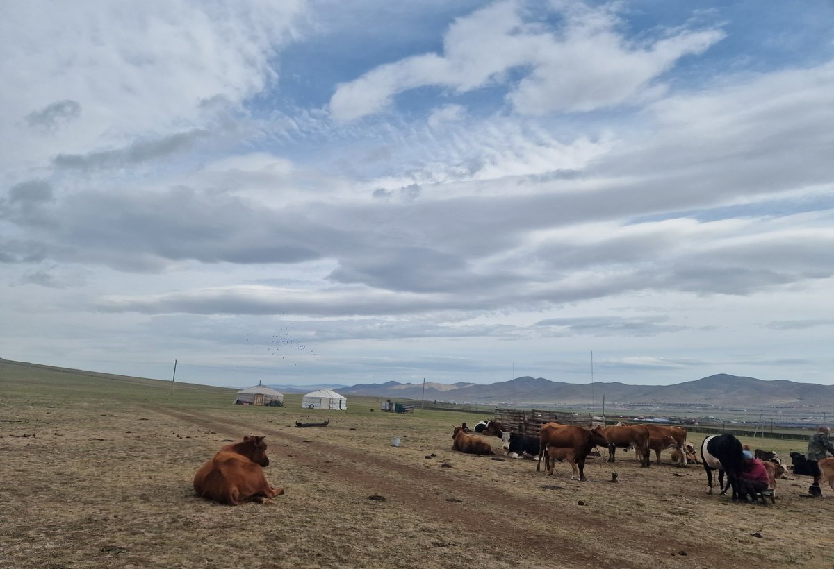 Өглөөний🌺 мэнд👏 хүргэе. Сайхан😍 бодлоос сайхан🥰 амьдрал эхэлнэ. Та нартаа эрч хүч💪💃🏻 инээмсэглэл хайр 💖энэрэл шингэсэн халуун дулаан сэтгэлийн энерги🔥 бэлэглэе. Шинэ бүтээл, сайн үйлс дэлгэрсэн шижгэр амжилт 👍хүсье. Амьдрал баян. 💞💞💞💞💞💞💞💞💞💞💞💞💞💞💞💞