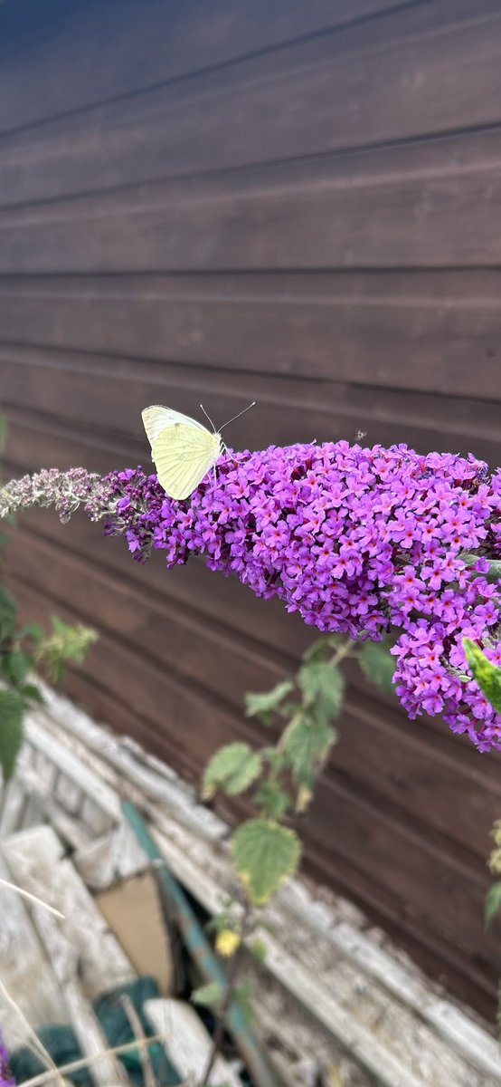 The Clumsy Plotter (@plotterthe) on Twitter photo 