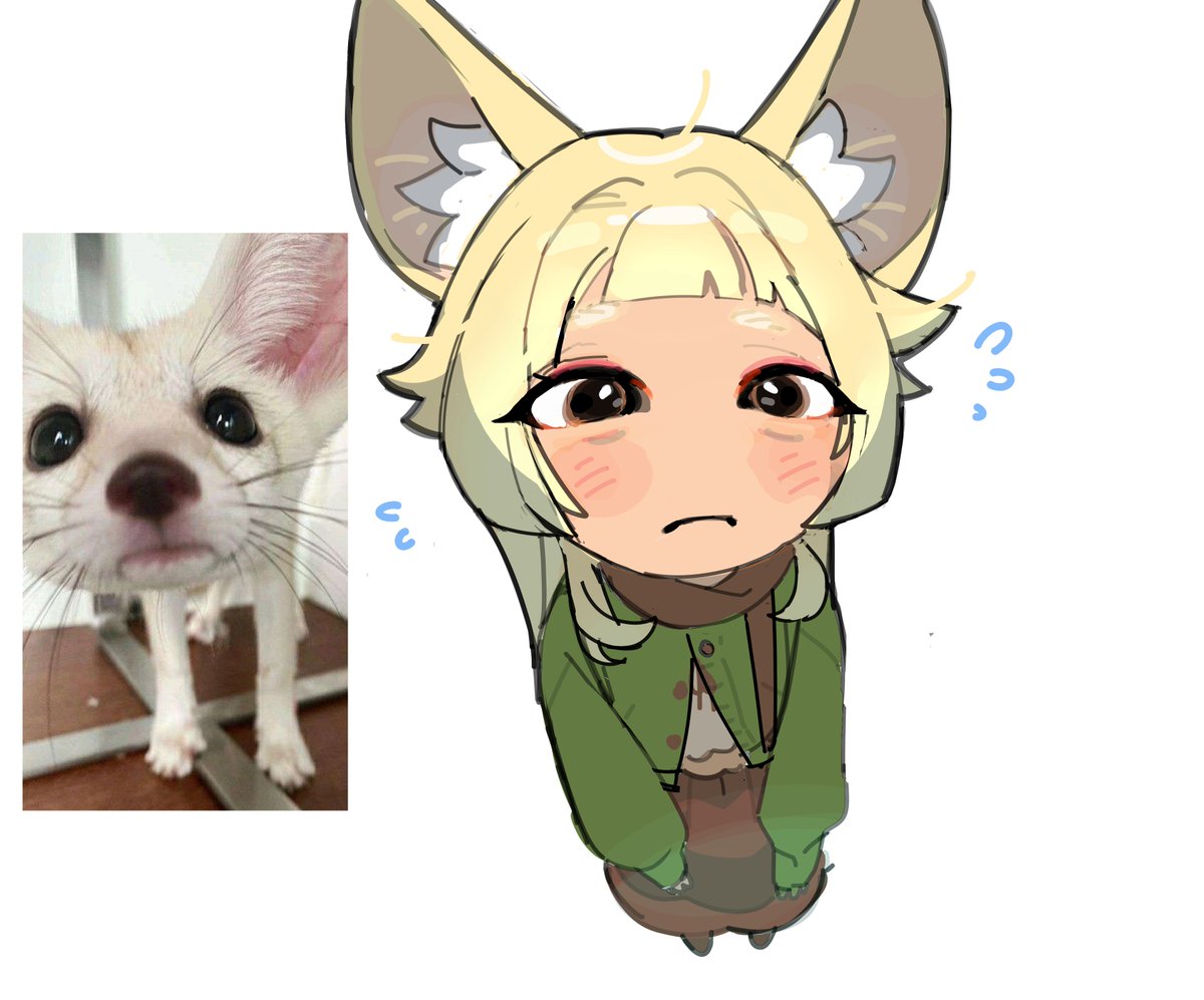 00v_k's tweet image. what the fox say