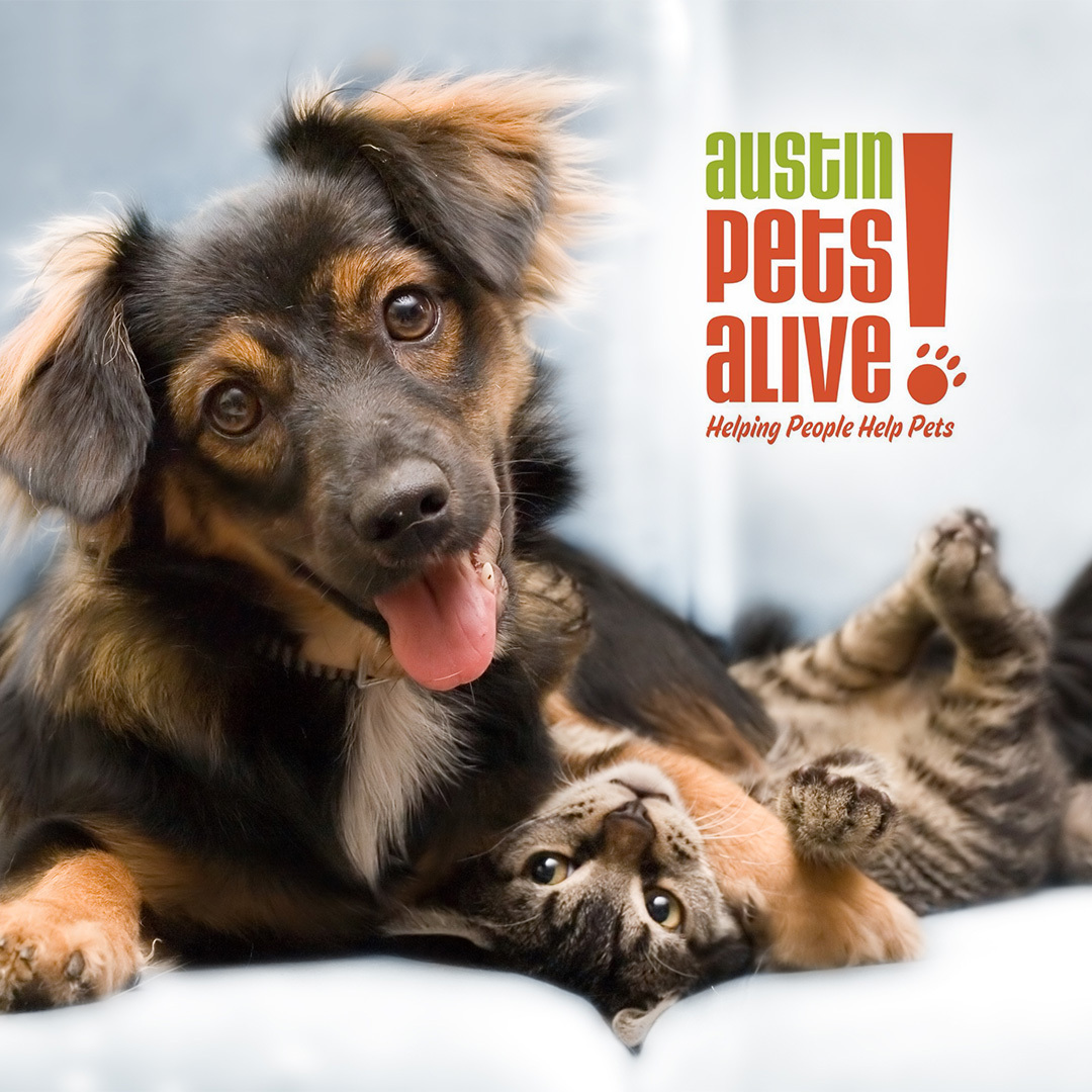 Spec's (@specs1962) on Twitter photo Weāre raising funds for <a href="/austinpetsalive/">Austin Pets Alive!</a> to support their incredible efforts helping countless displaced pets in Kerr County šØ
Stop by any of our area stores tomorrow (7/9) and Thursday (7/10) to make a donation! Weāre raising funds for <a href="/austinpetsalive/">Austin Pets Alive!</a> to support their incredible efforts helping countless displaced pets in Kerr County šØ
Stop by any of our area stores tomorrow (7/9) and Thursday (7/10) to make a donation!
