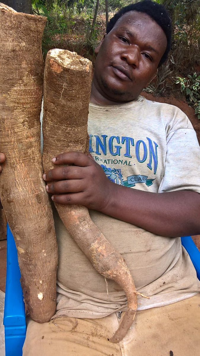 Am Robert Kariuki wa Nthambi from makueni #WeAreAllKikuyus