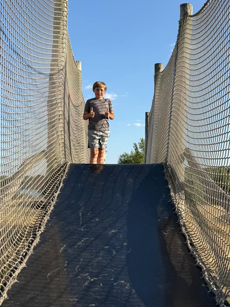 Chigwell Primary tweet media