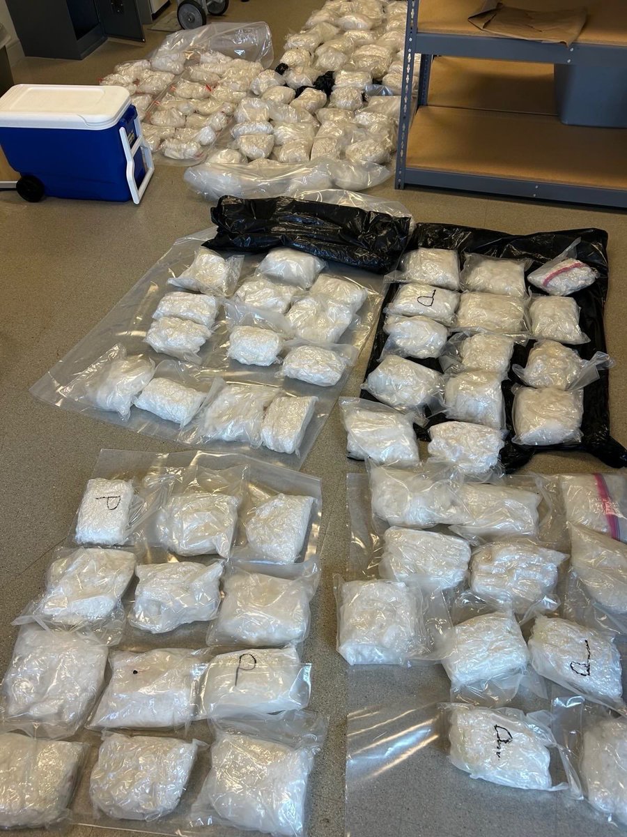 FBI Deputy Director Dan Bongino says two separate traffic stop drug busts in Minnesota on Monday netted 900 lbs of meth. More info to come, reportedly