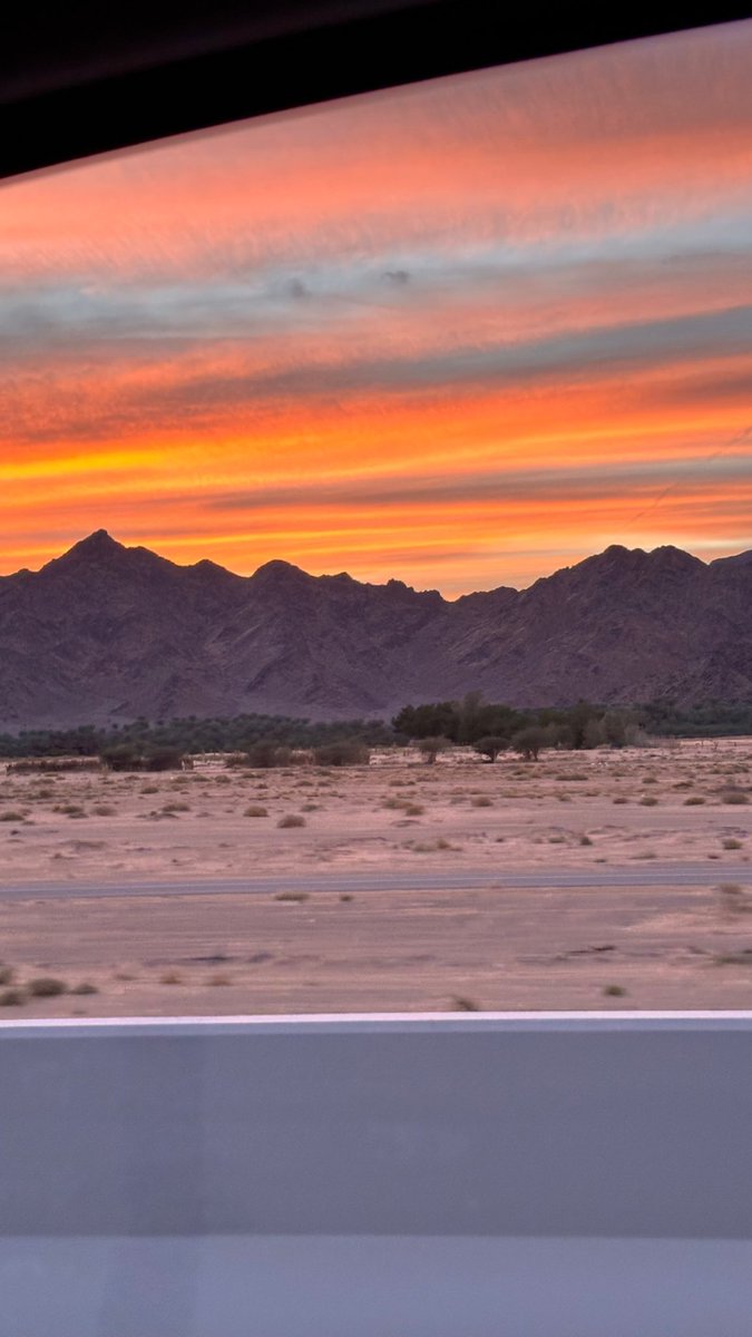 _nc81's tweet image. 