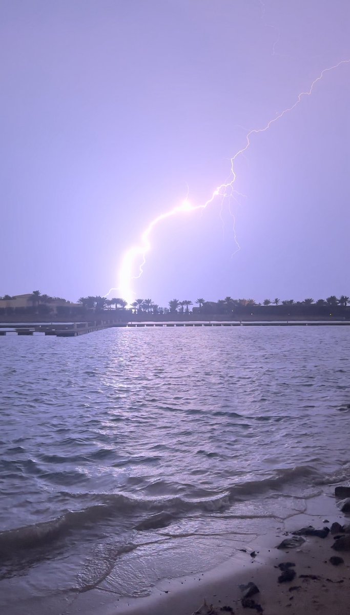 _nc81's tweet image. 