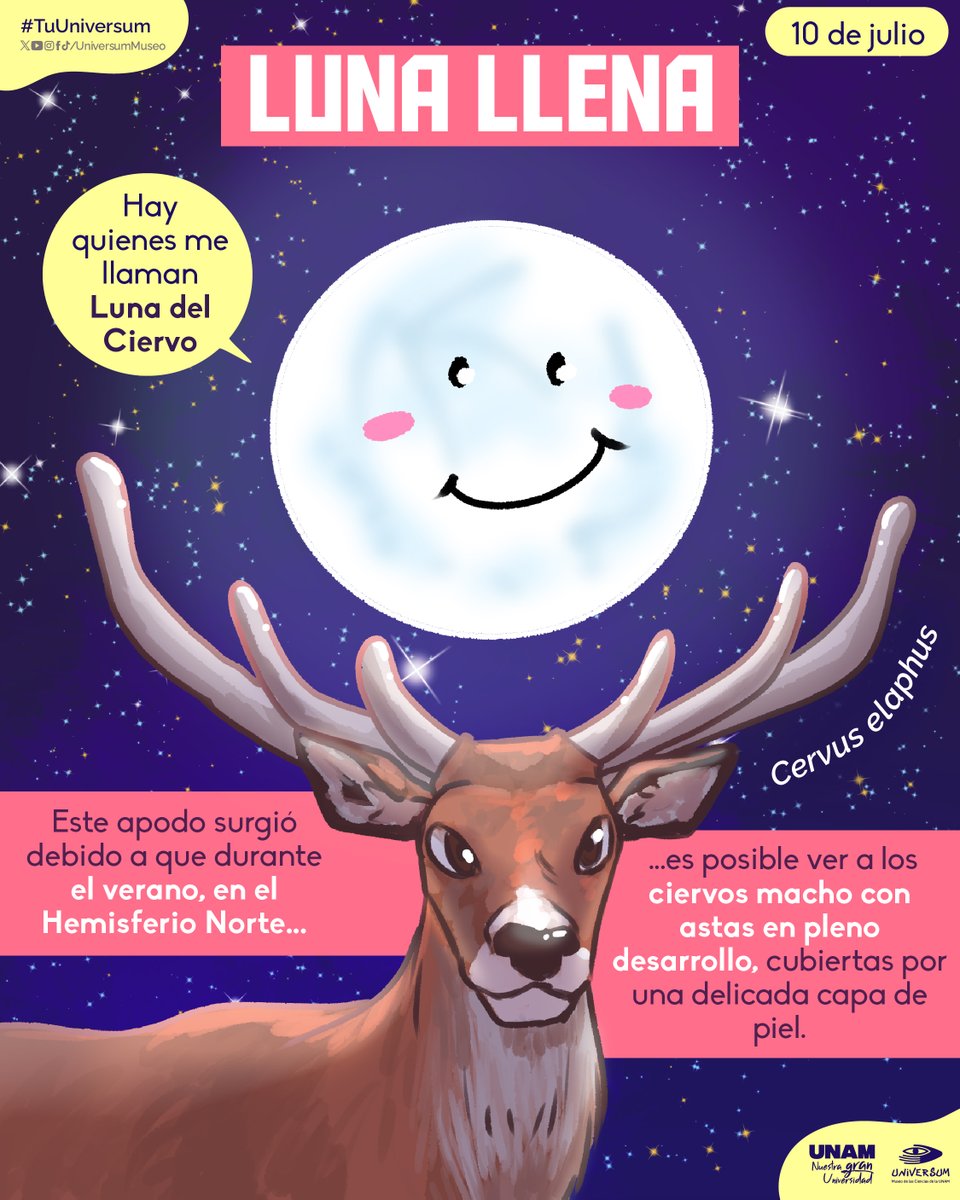 ¡Ya está aquí la luna llena de julio! 🌕🥰
#TuUniversum