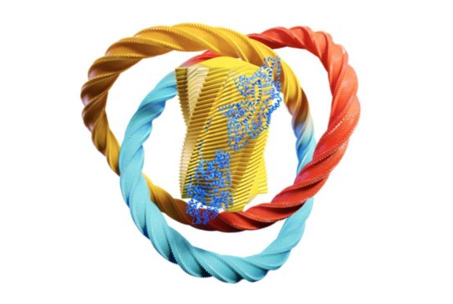 UMichChE's tweet image. ICYMI: A new interdisciplinary global research project led by Nicholas Kotov will develop infrastructure for nanostructures to advance the frontiers of biosensing and metamaterials.
Read the full article here: michiganche.info/4l6q4ah