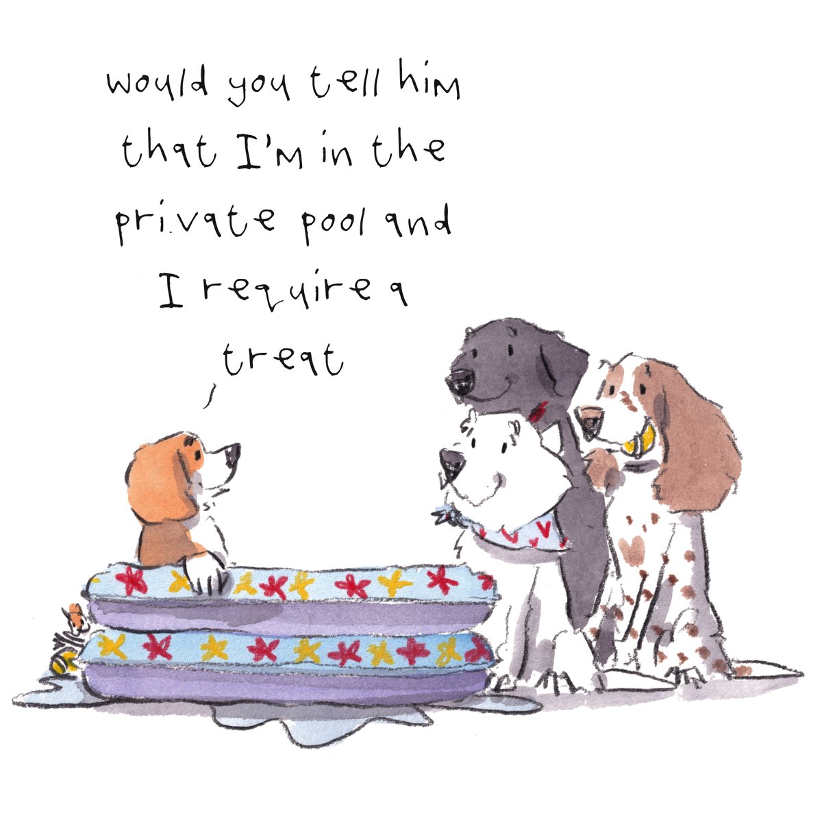 Good night, lovely people and lovely dogs.
The beagle is cooling down...
Sleep well and sweet dreams.
I hope that you have a wonderful day tomorrow. 
#hoorayfordogs #beagle #westie #labrador #springer #redsquirrel #paddlingpool