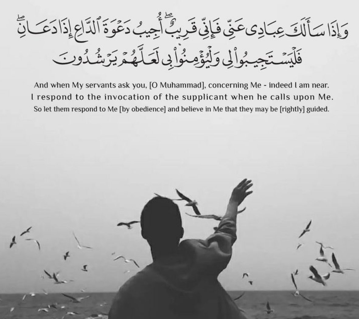 dr3isha's tweet photo. حين نتأمل الآية الكريمة، لم يقل الله سبحانه  (إذا طلبني ) بل قال ﴿ إِذَا دَعَانِ ﴾.
النون تعود إلى الله جل جلاله، أي: إذا توجهنا إليه محبةً، وشوقًا، وأنسًا، حتى نبلغ مرحلة تصبح فيها لذّة الدعاء كأنها لذّة الإجابة.
نصل لمرحلة من  الأدب مع الله، واليقين بحكمته، والرضا بما يختاره لنا، أيًا كان.
الدعاء الذي يُستجاب، هو ما خرج من قلب امتلأ إيمانًا، ويقينًا، ومحبّة لله تعالى.
فإذا كان القصد هو القرب، لا الطلب فقط، تحقّق الوعد، وفُتحت أبواب السماء.