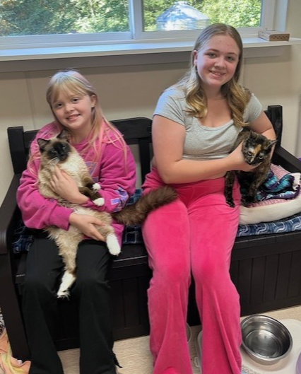 We’re celebrating our recent kitten adoptions: Megan Thee Stallion, Macy Gray &amp; bonded pair Angus &amp; Chutney! If you’re searching for YOUR purrfect match — we’ve got plenty of adorable companions waiting to meet you! 🐱❤️ See who’s waiting: purrfectpals.org/browsecats/

#GoodMewsTues