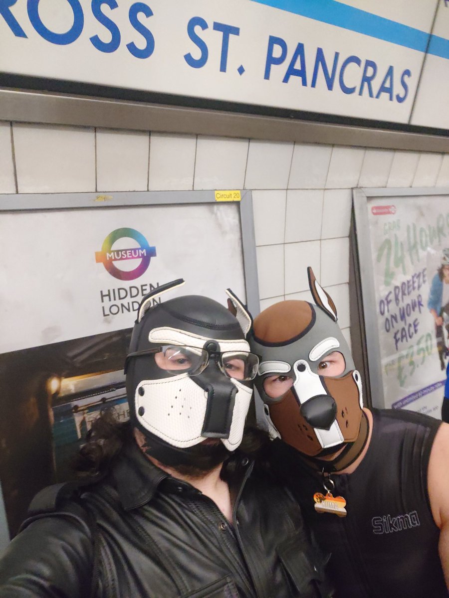 Pup_Gray's tweet photo. I completely forgot to cross post with butterfly app!

I was in London Pride this year! Major props to the wonderful guys at @Club_Collared for getting us in the parade and making it such a memorable day. https://t.co/9qOeyjqsWK